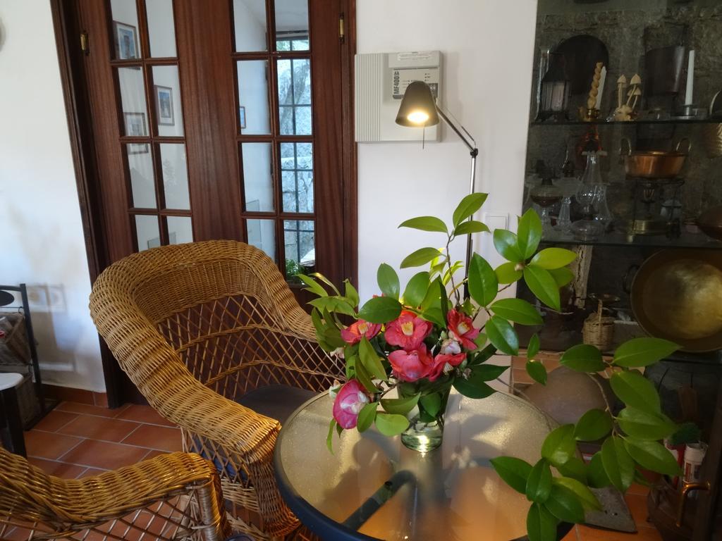 My Room - Villa Vina - Ter Monchique Exterior photo